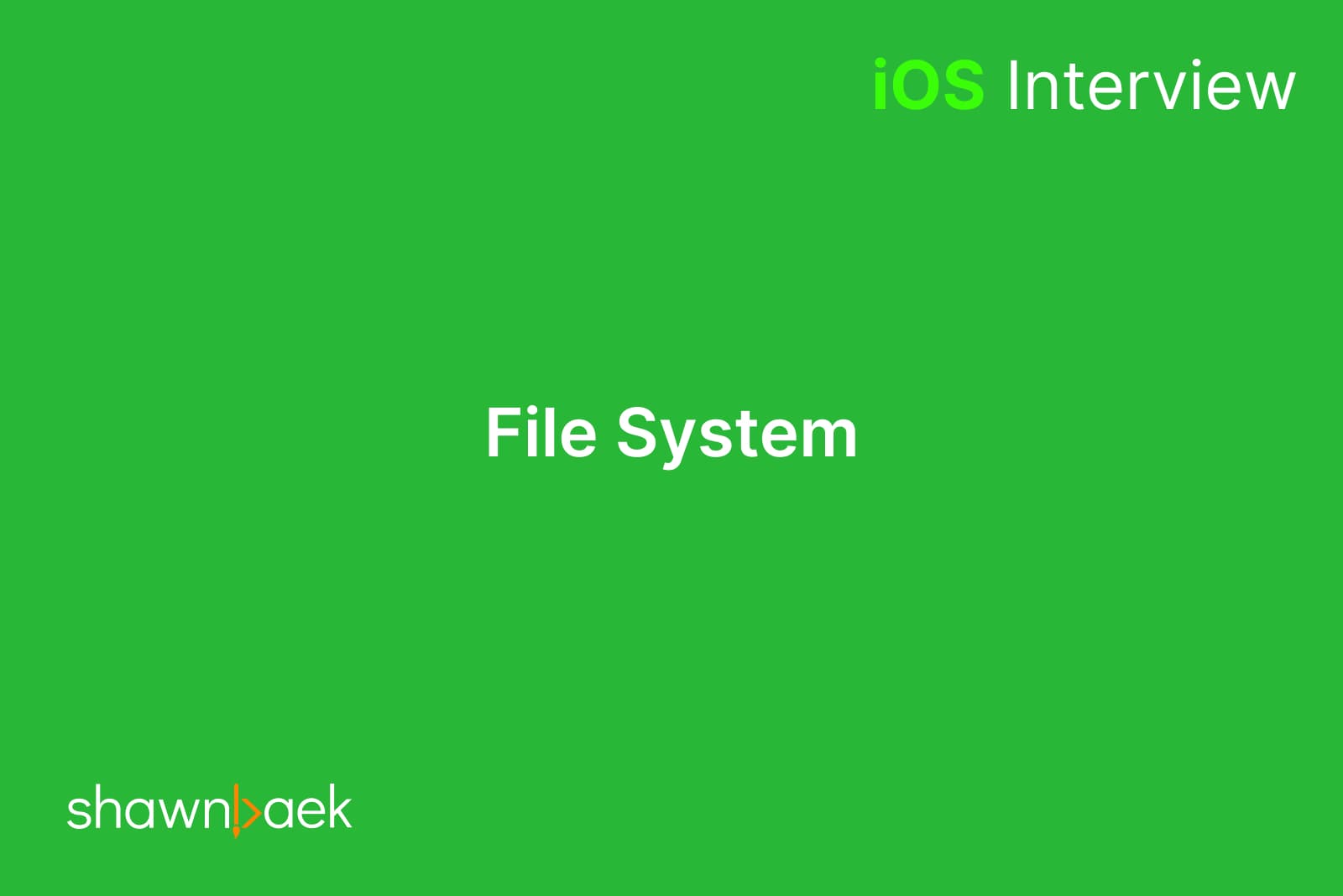 iOS, File System
